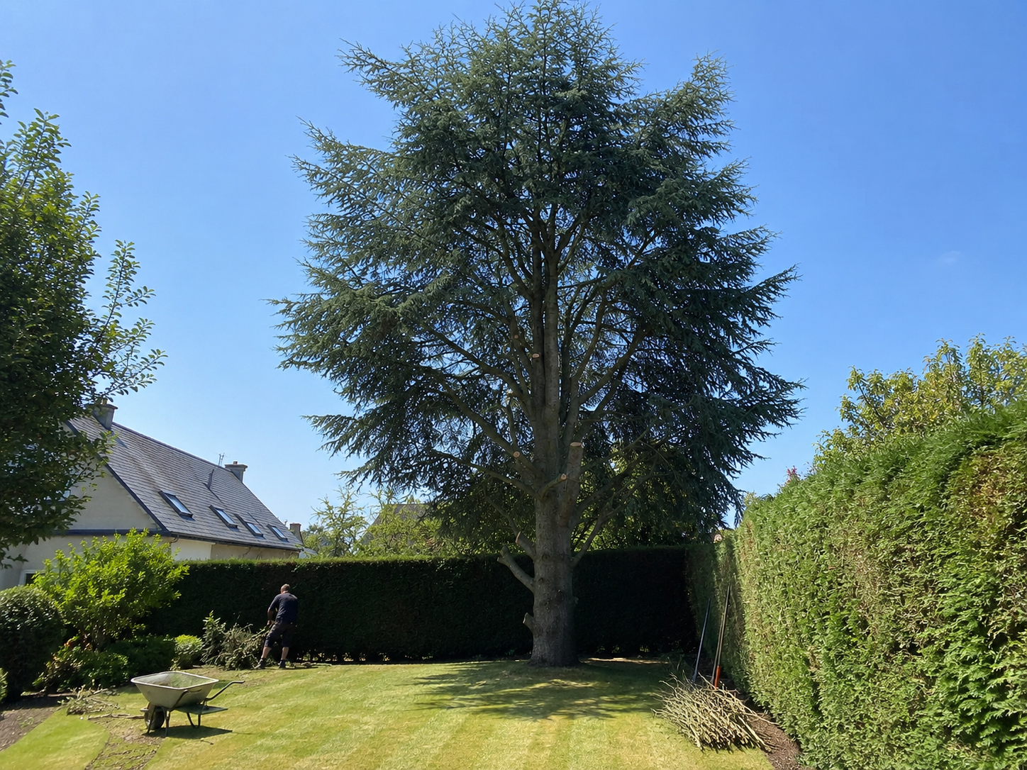 Jardin remis au propre